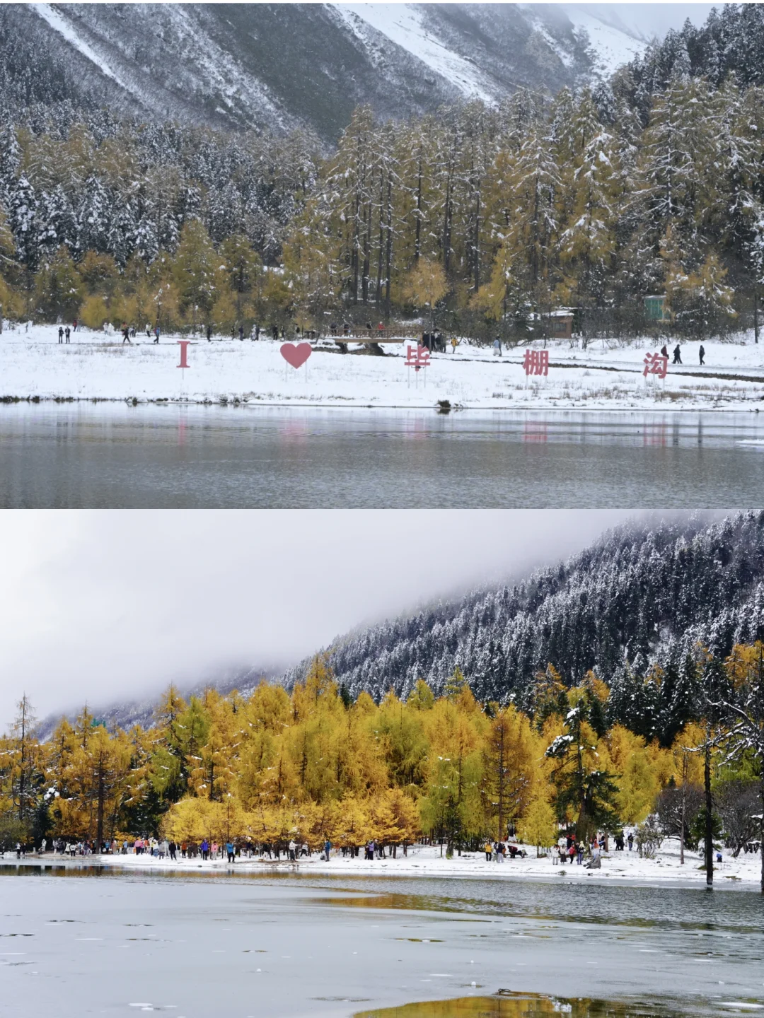 毕棚沟彩林此刻封神🍁沉醉其中无法自拔?