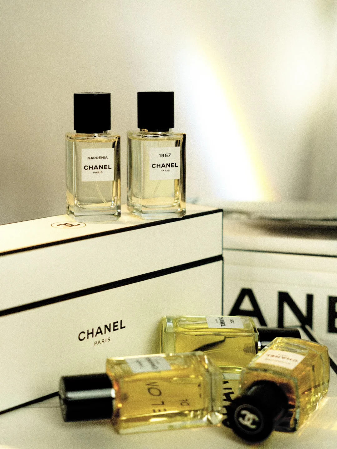 如果让我从香奈儿珍藏系列里选出5款挚爱