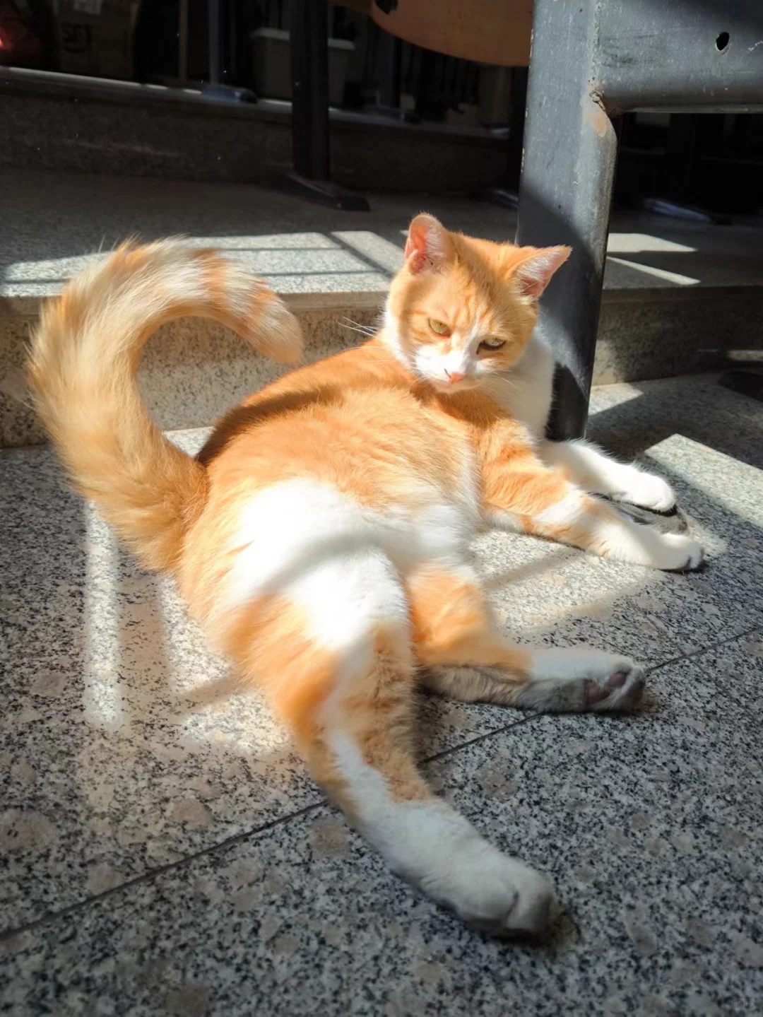 美照征集中！！！