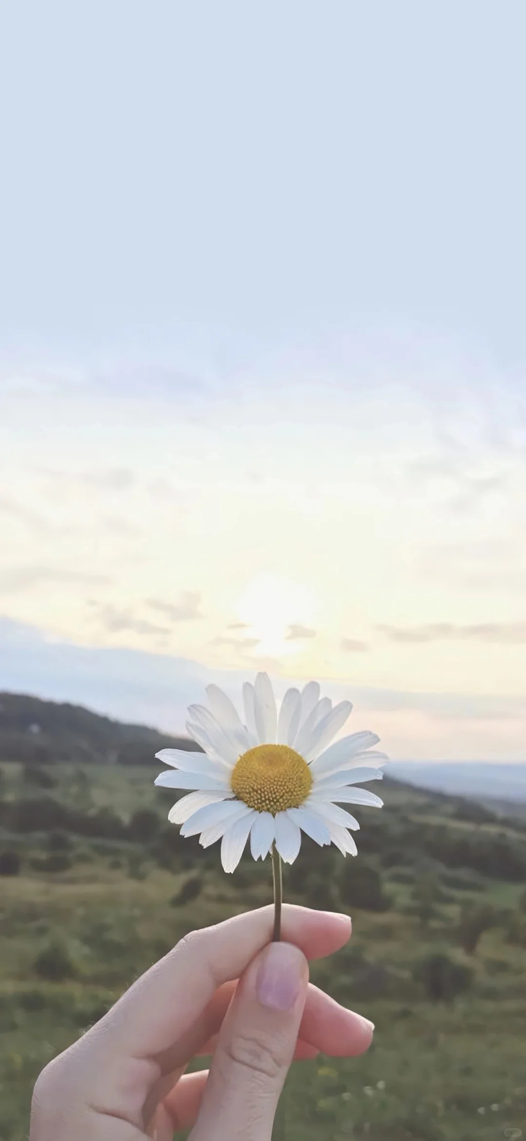 模特秀手机壁纸