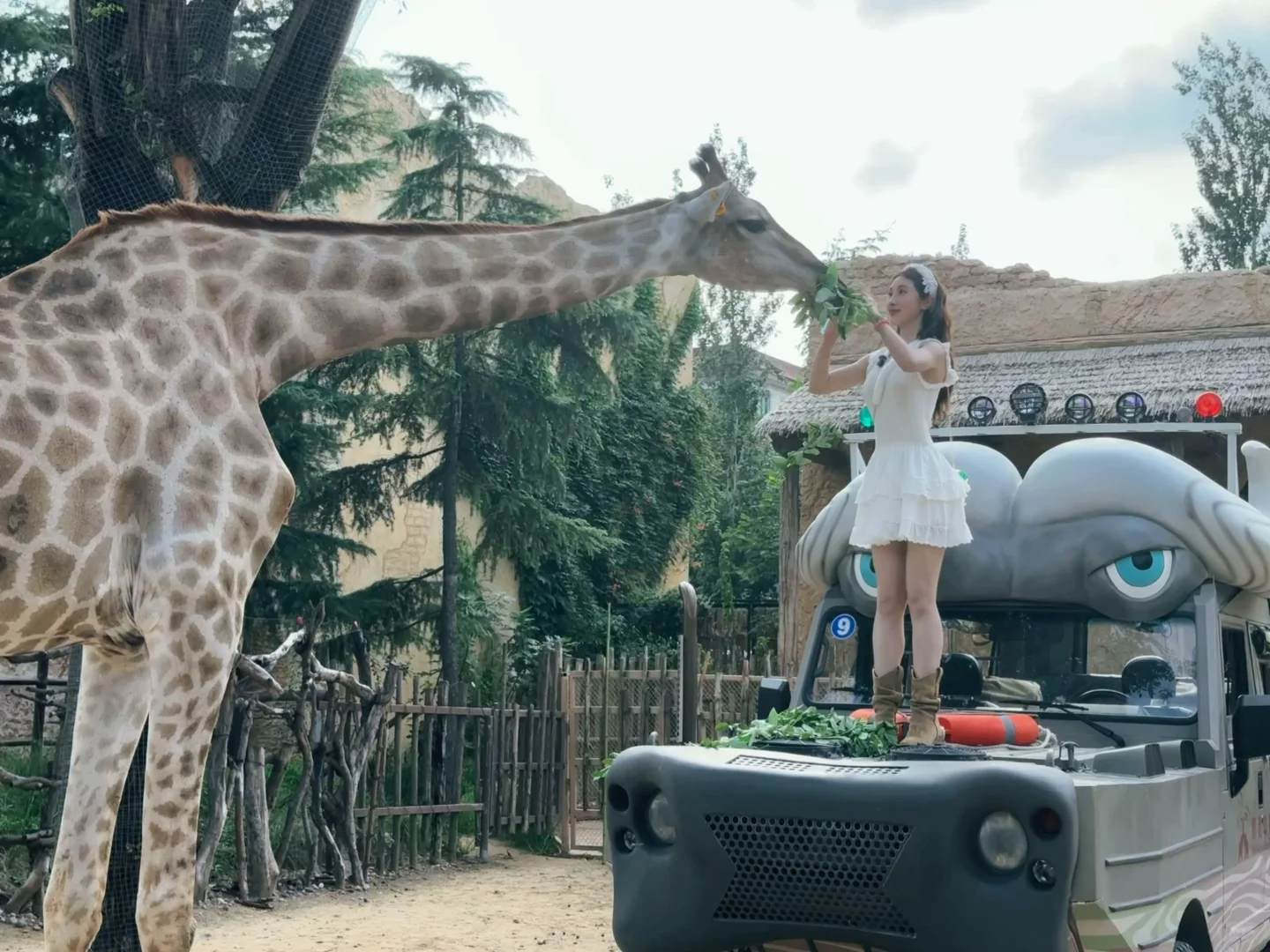 我宣布！张小婉又一神图诞生🤟