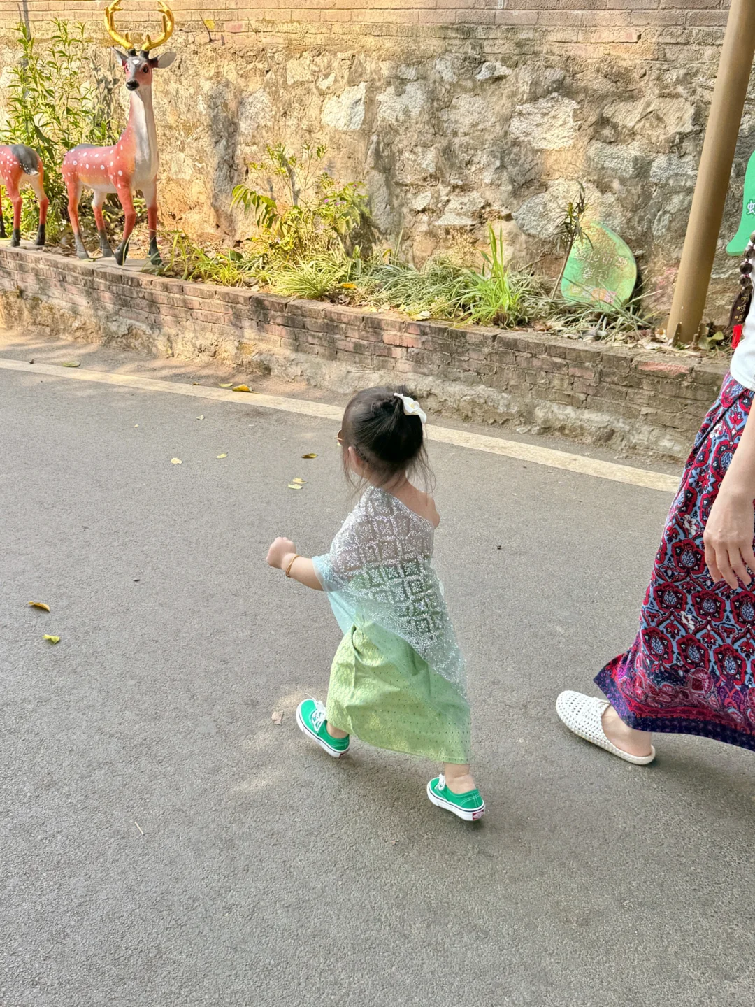♪ 今日小傣妹🦚