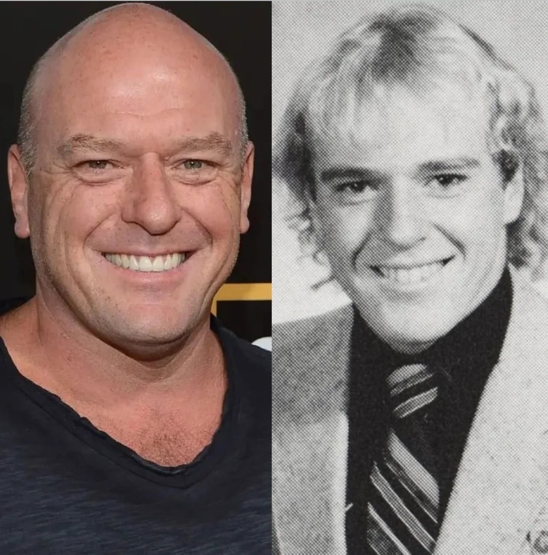 滑头我承认你有几分姿色