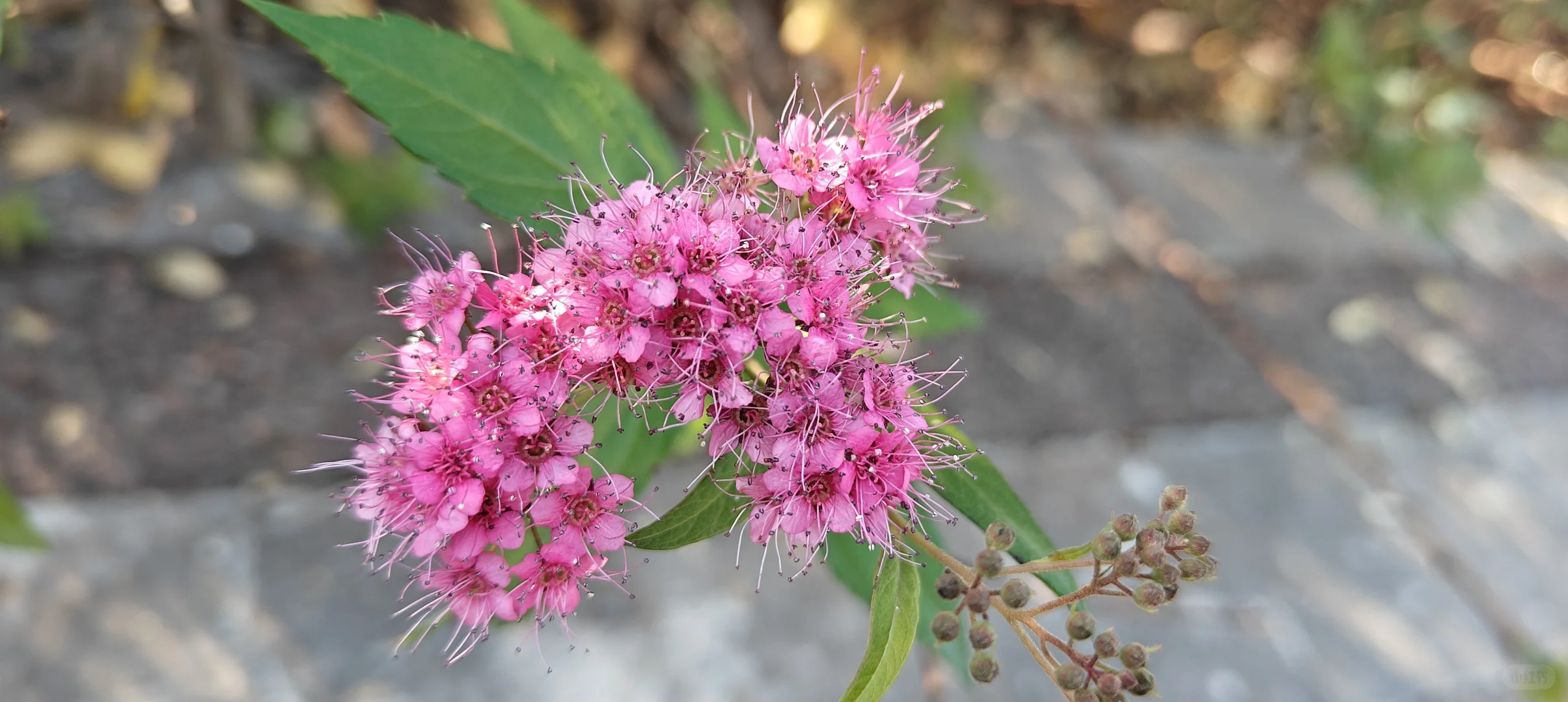 《写给三十岁的自己》