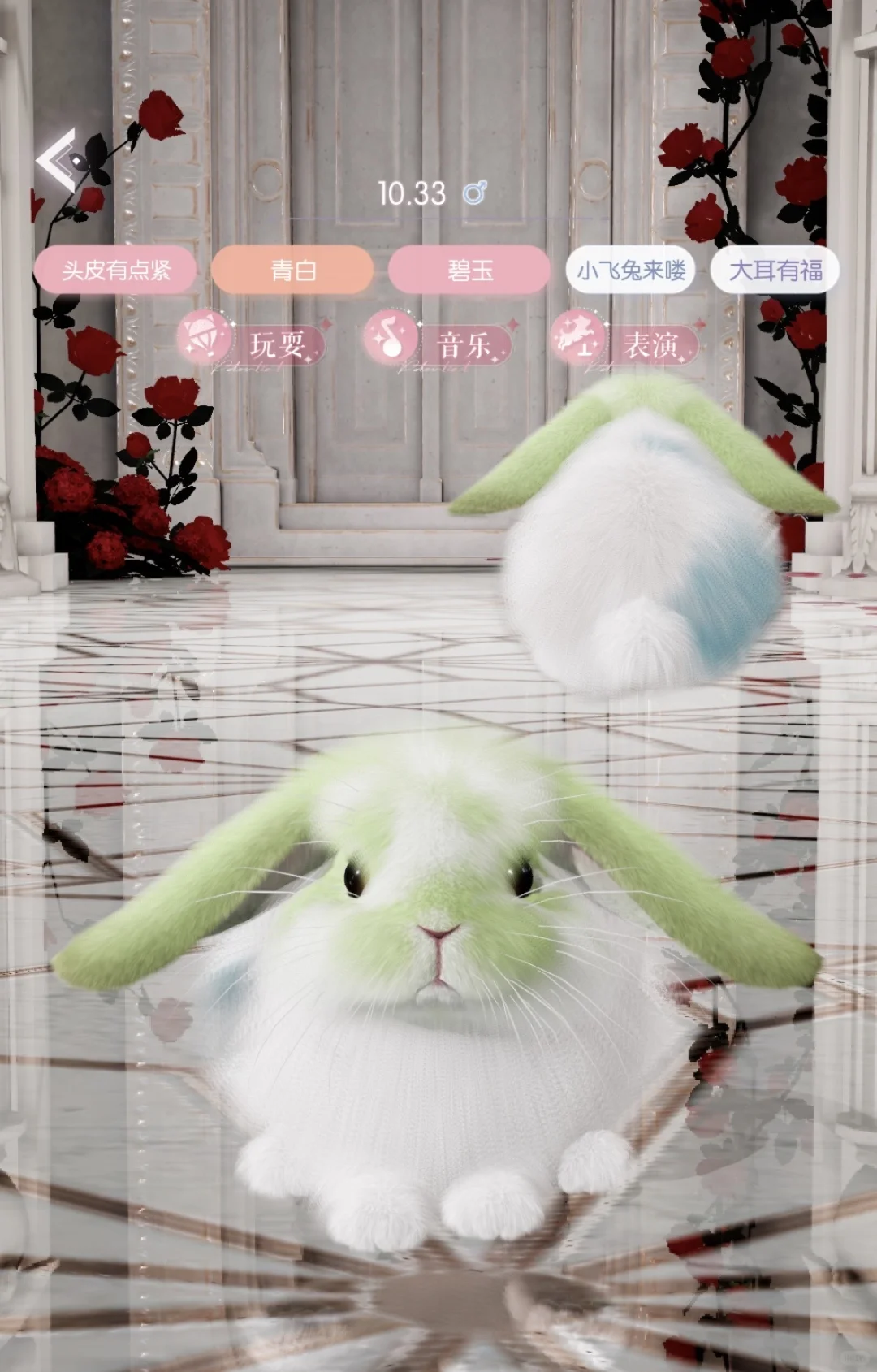 两只阿尼亚弟弟约亲