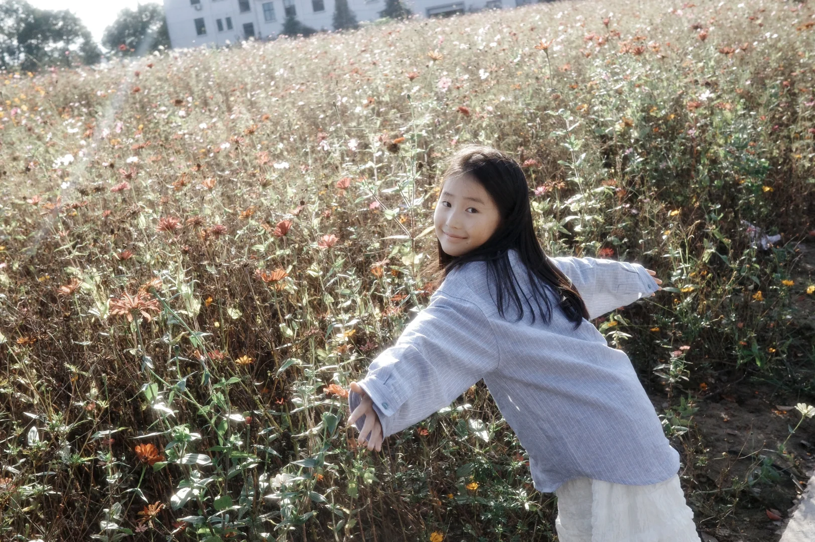 风轻轻吹，阳光正好～～～