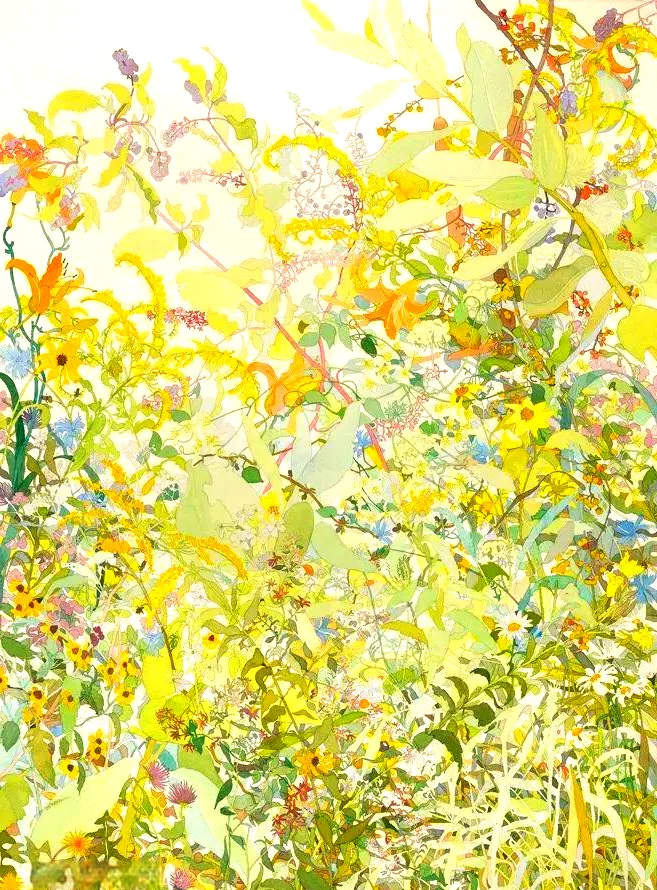 🎨✨微观草木里的生命诗学✨🎨