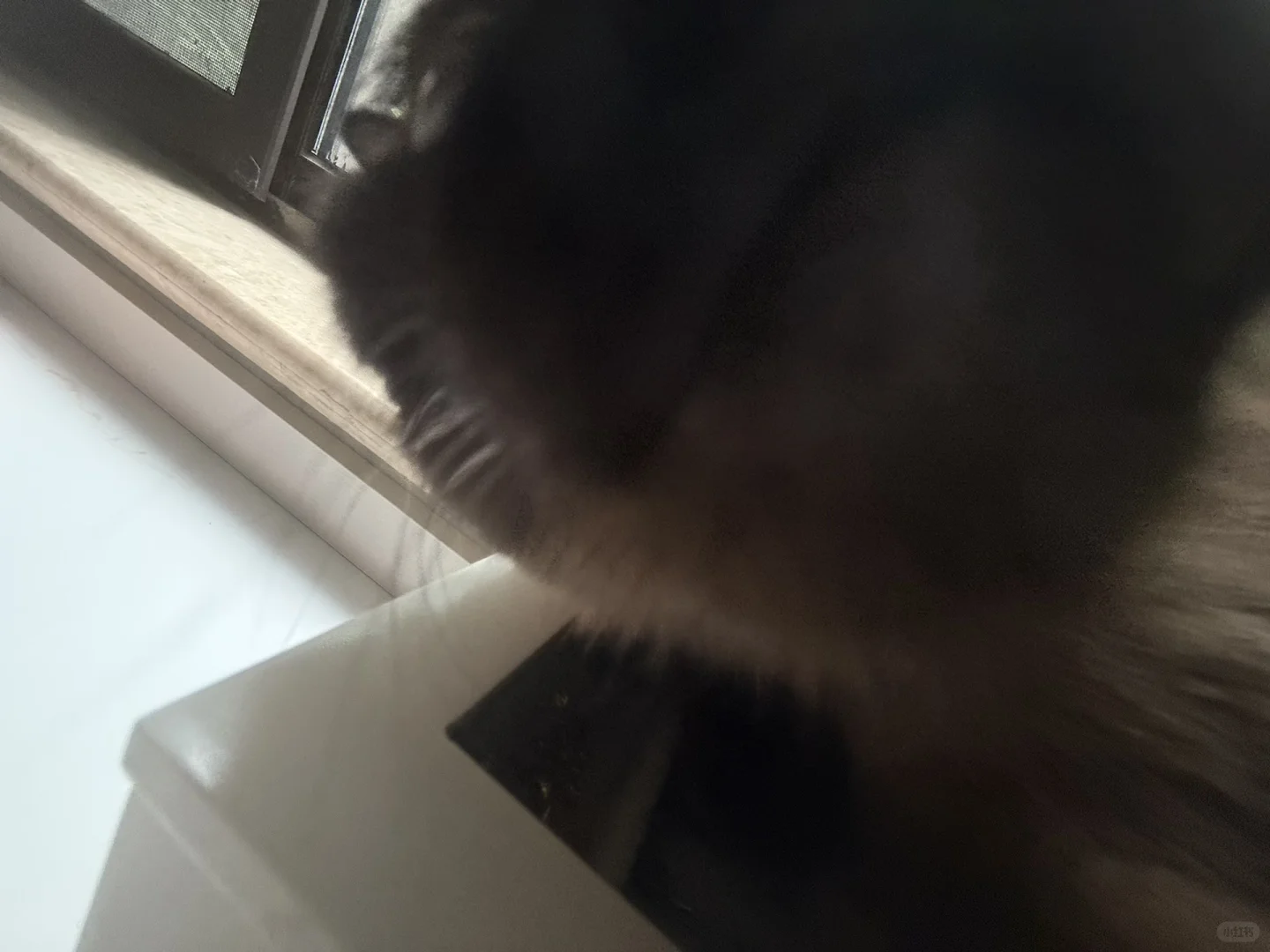 有个女的总想舔我手机怎么办🫣