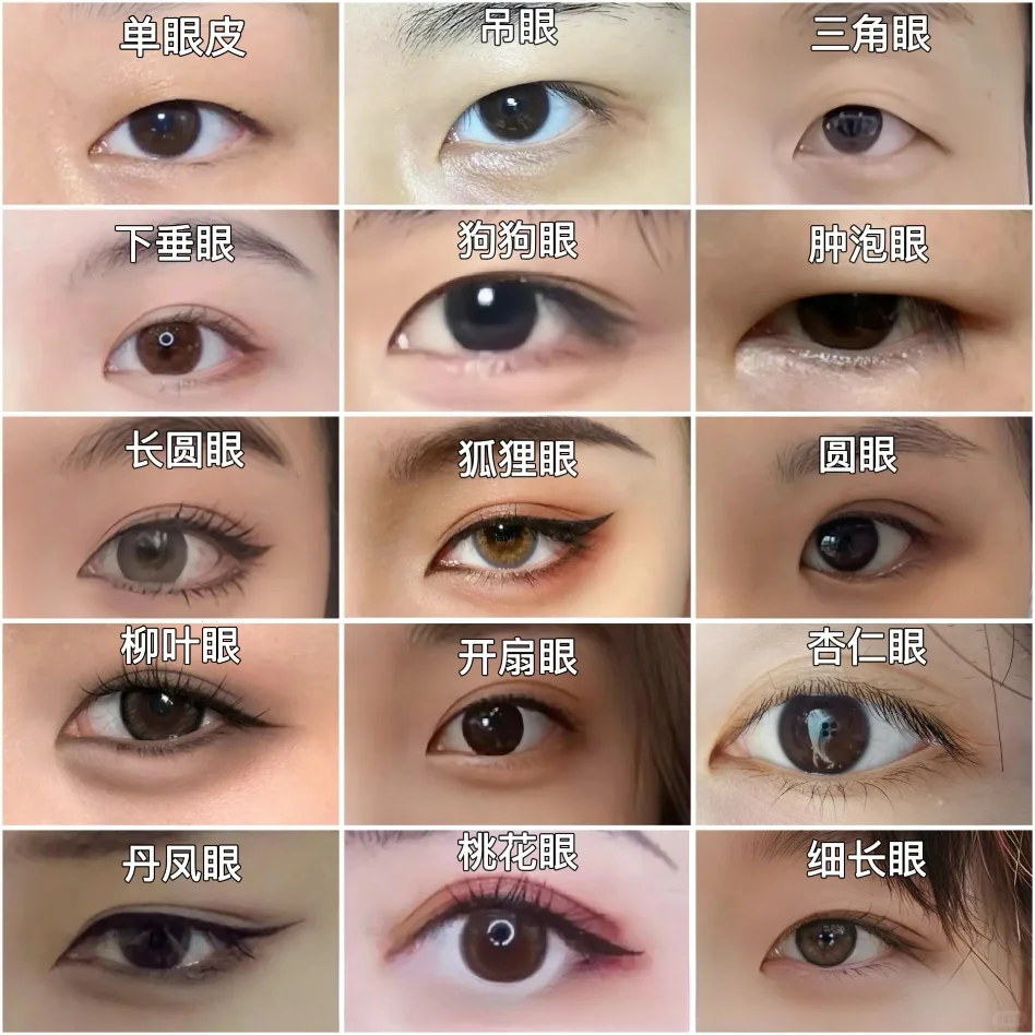 你知道自己是什么眼型吗，眼型自测来喽✨