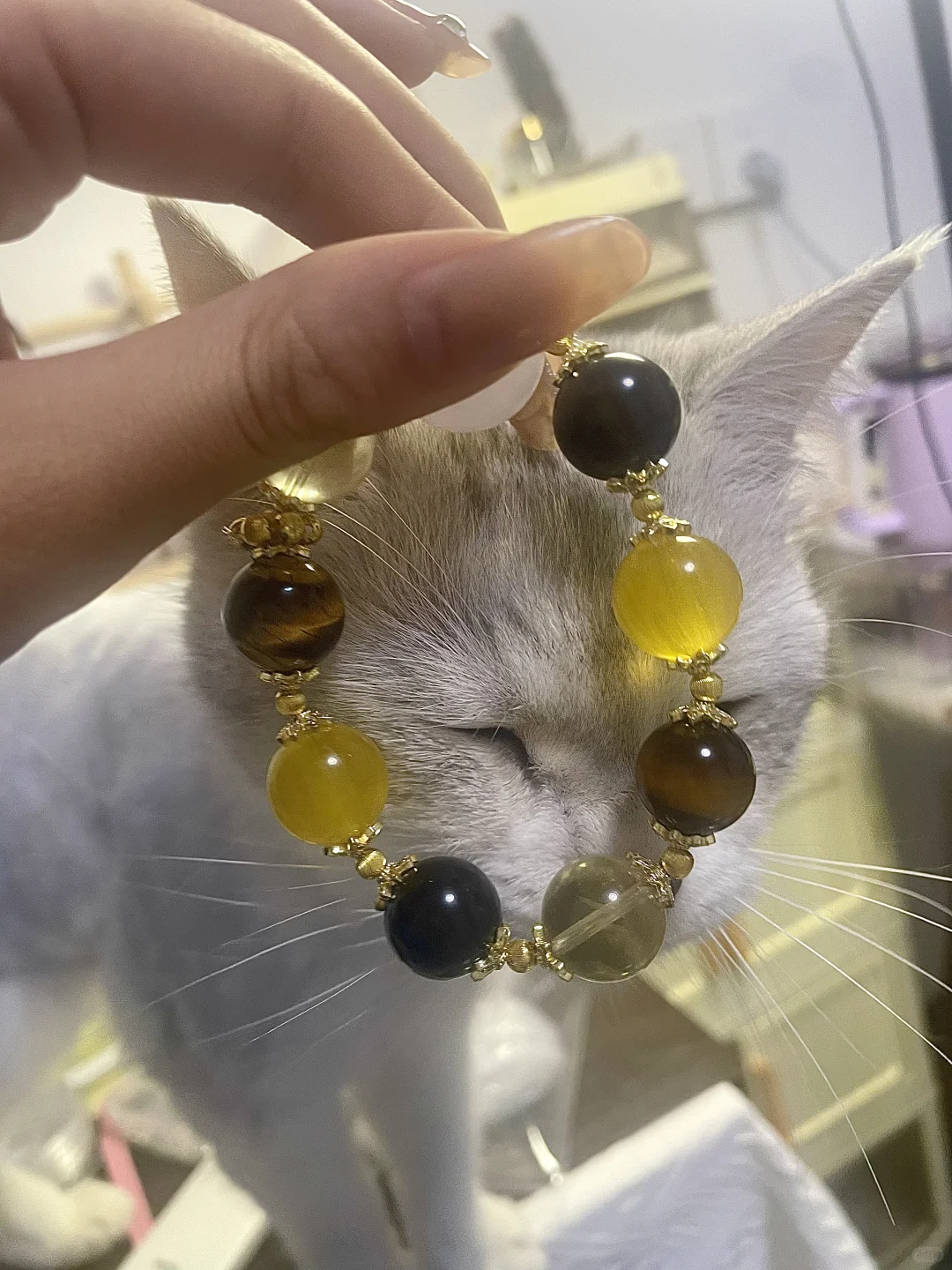 给姨姨们抛媚眼