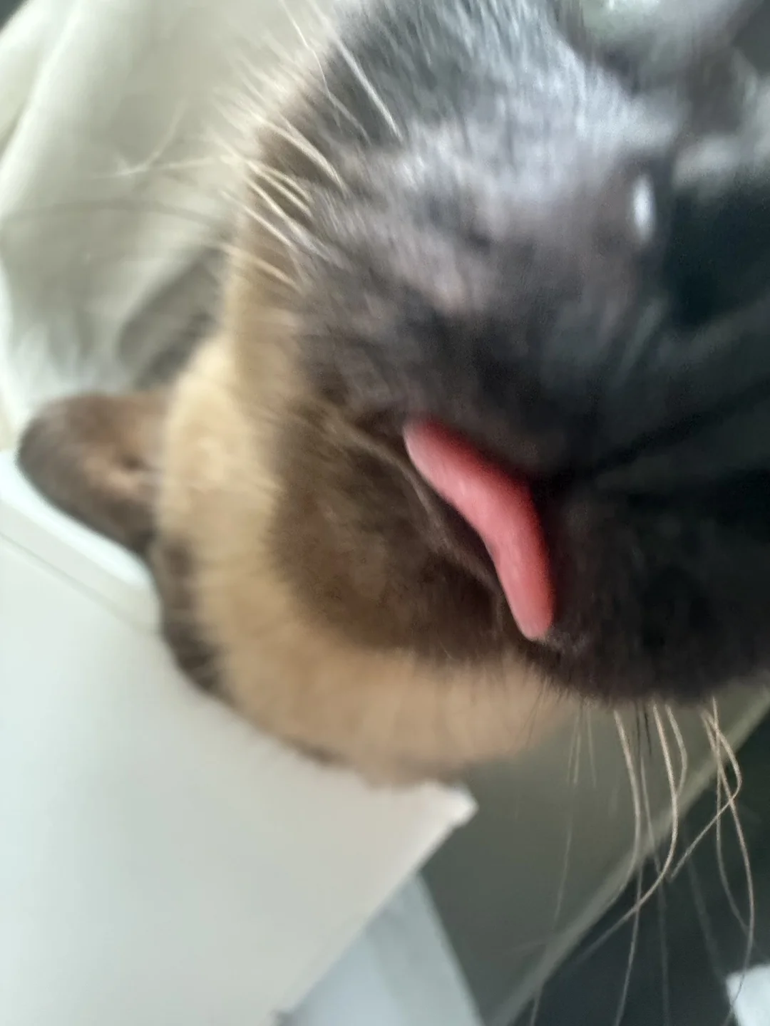 有个女的总想舔我手机怎么办🫣