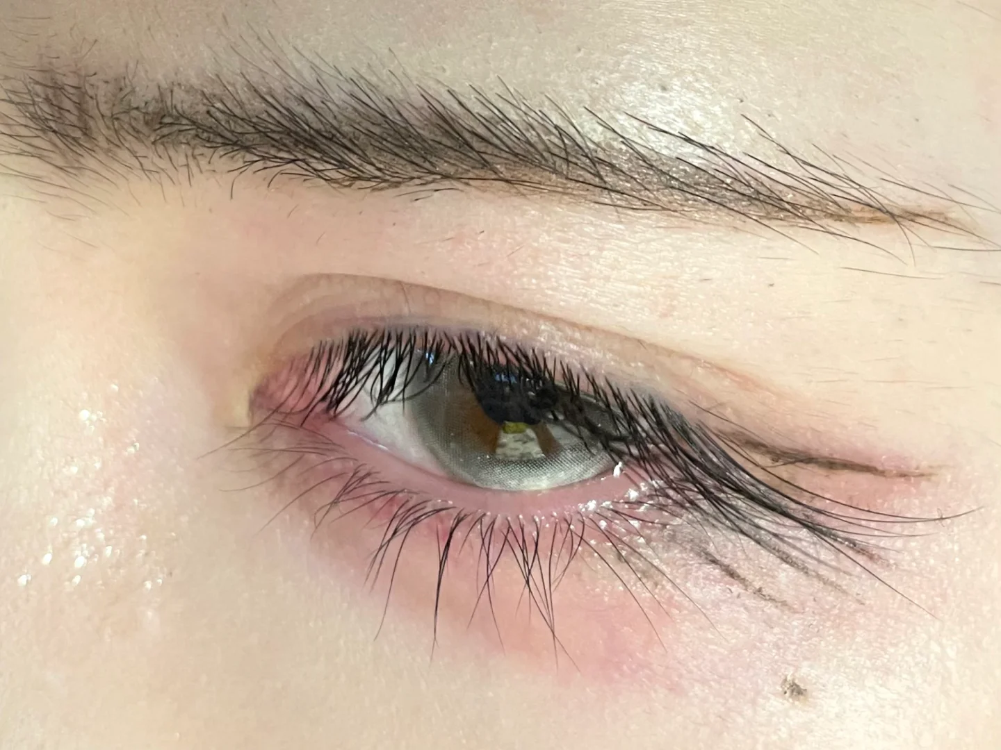 美哭了 像画出来的一样