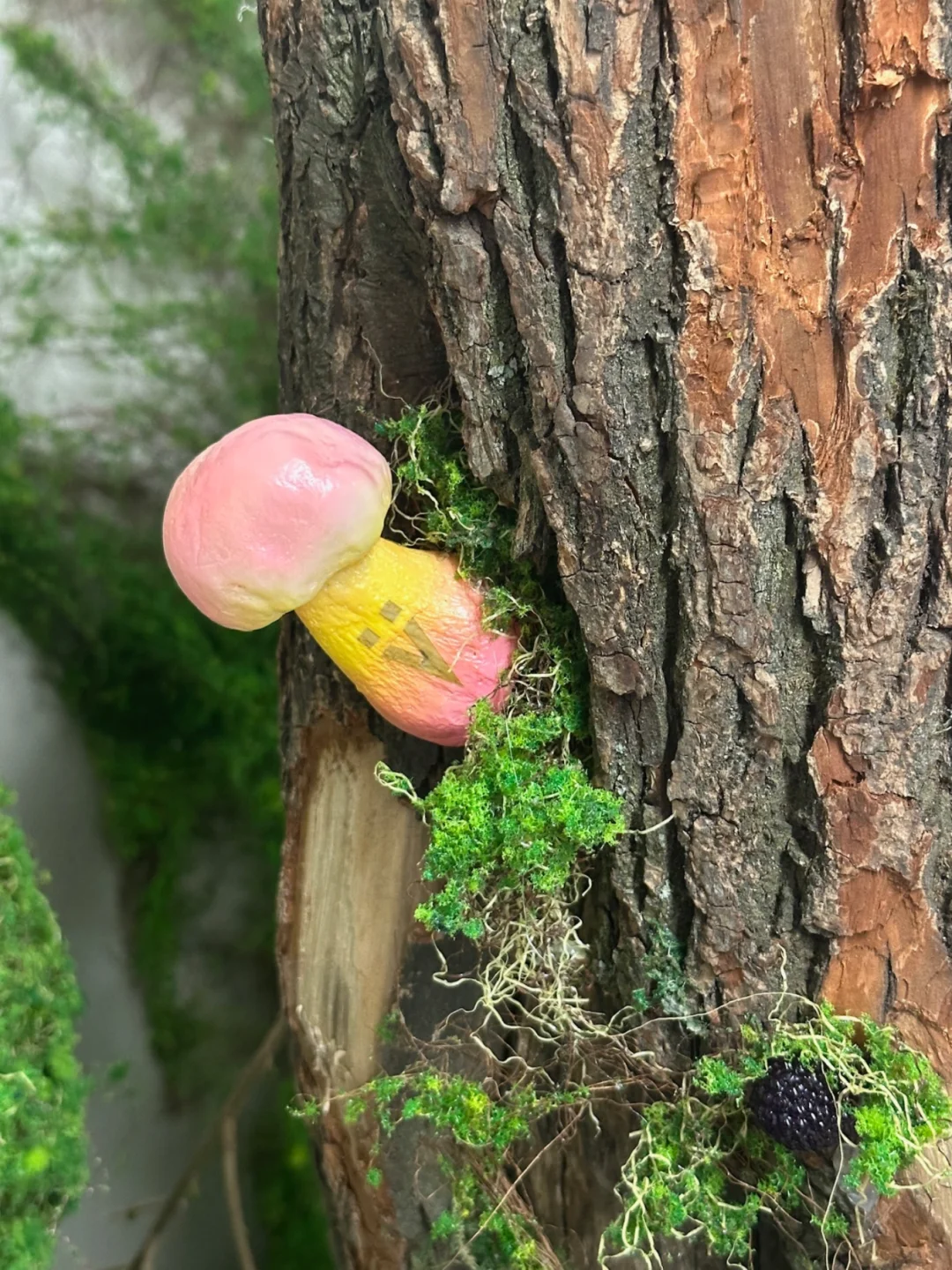 春日采摘倒计时🌿