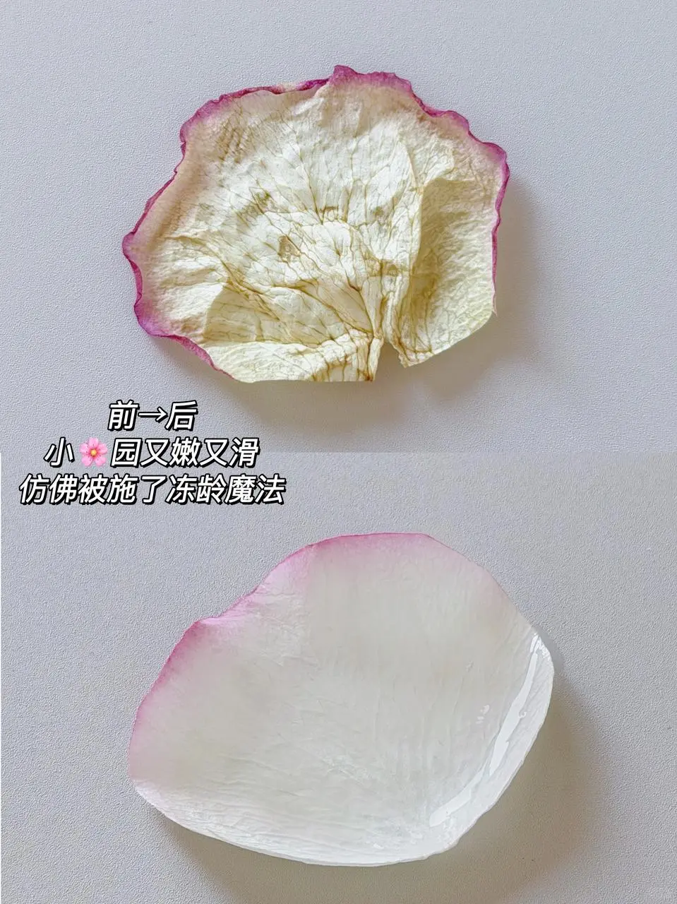 难怪伊能静谈小10岁甜蜜姐弟恋，秘诀是....