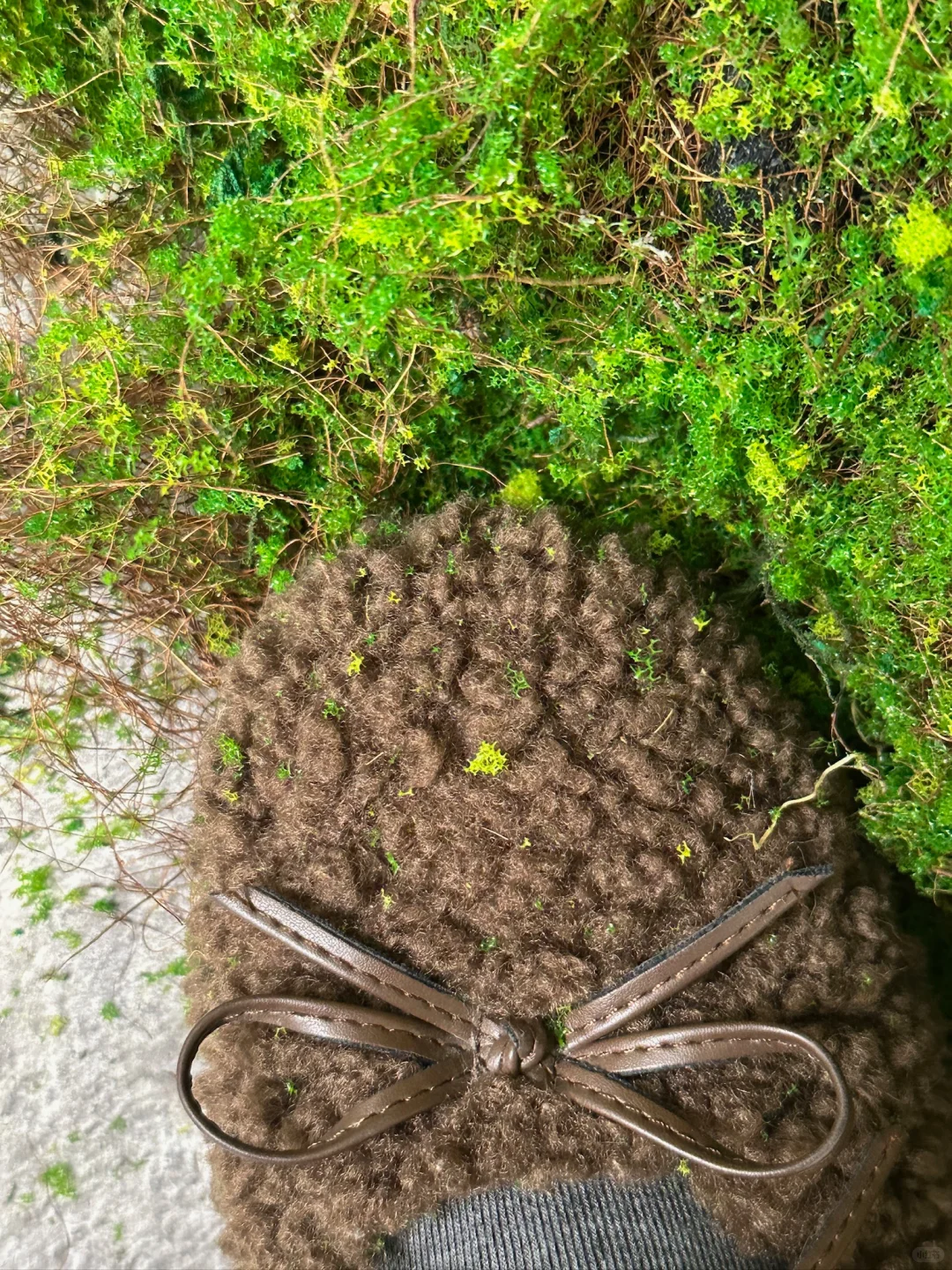 春日采摘倒计时🌿