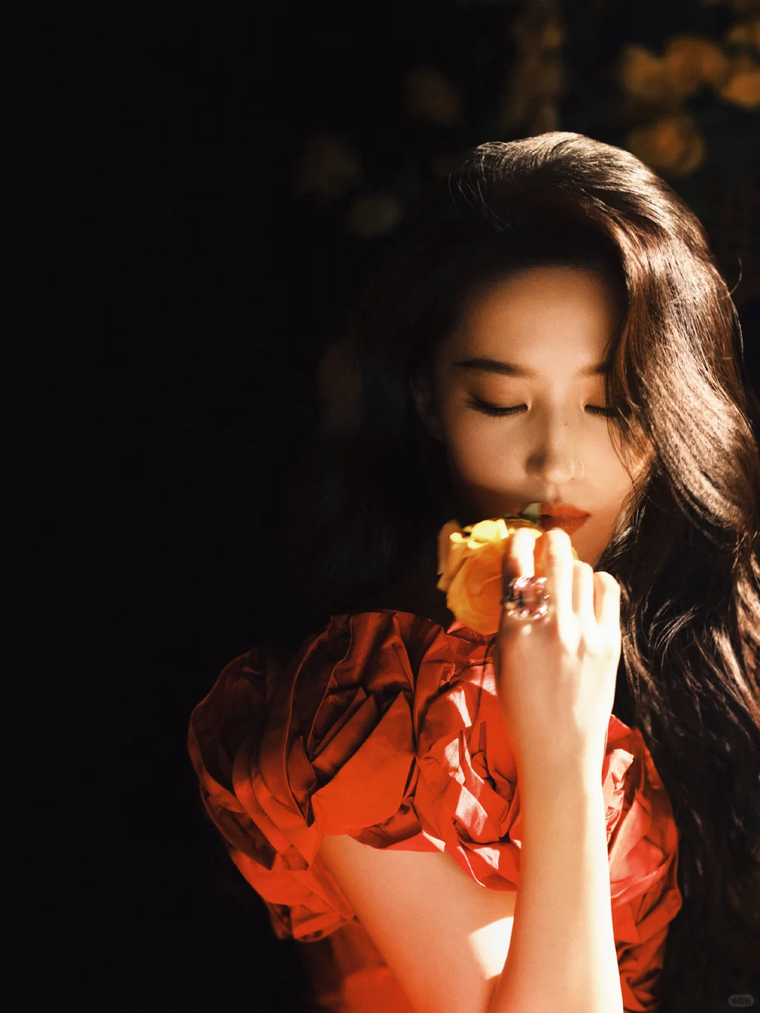 刘亦菲黄玫瑰主题生日写真