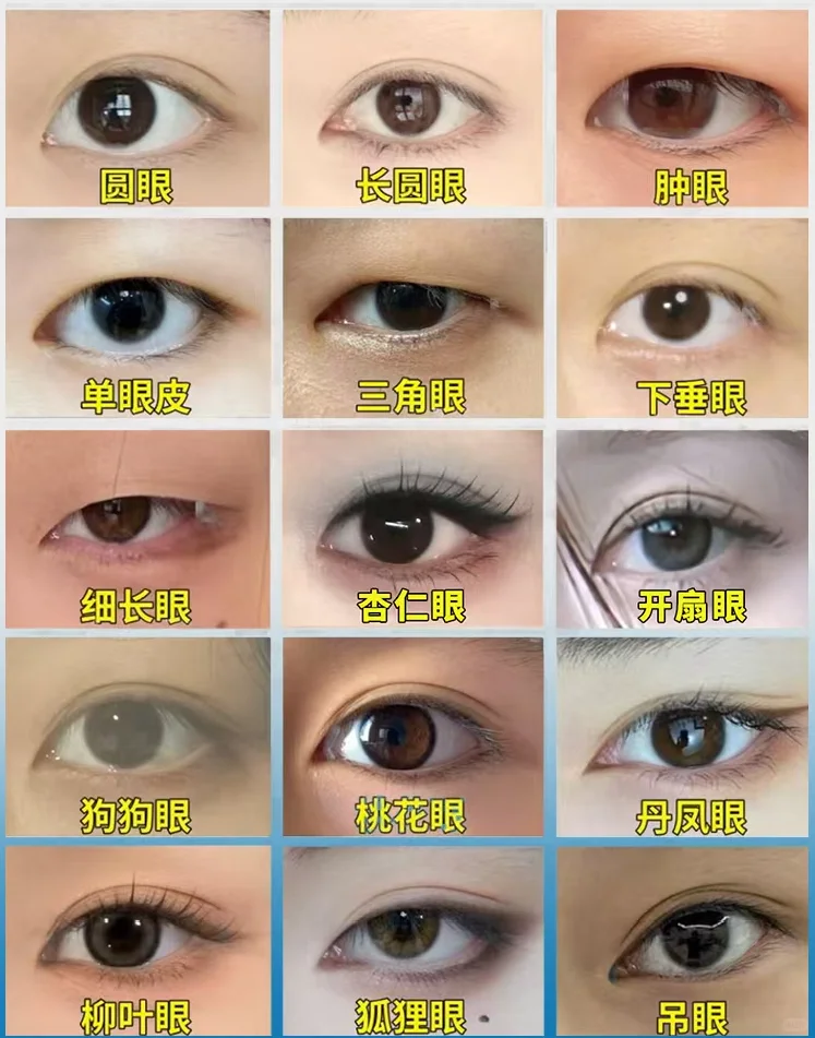 十秒认识自己｜快速找到自己眼型