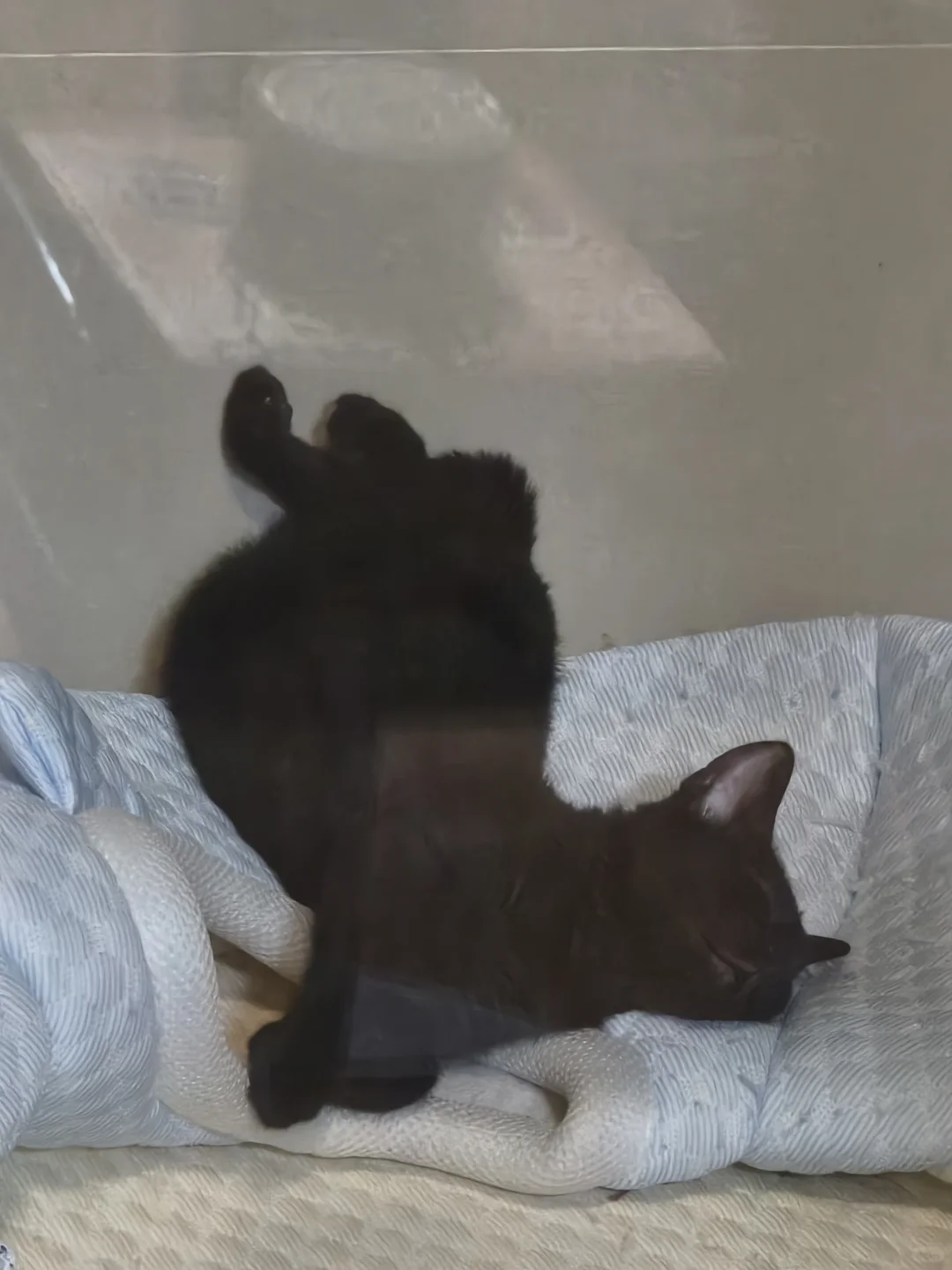 谁能解读祂梦到了什么