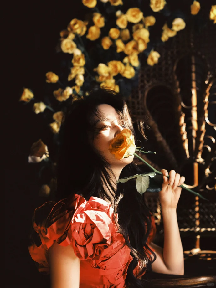 刘亦菲黄玫瑰主题生日写真