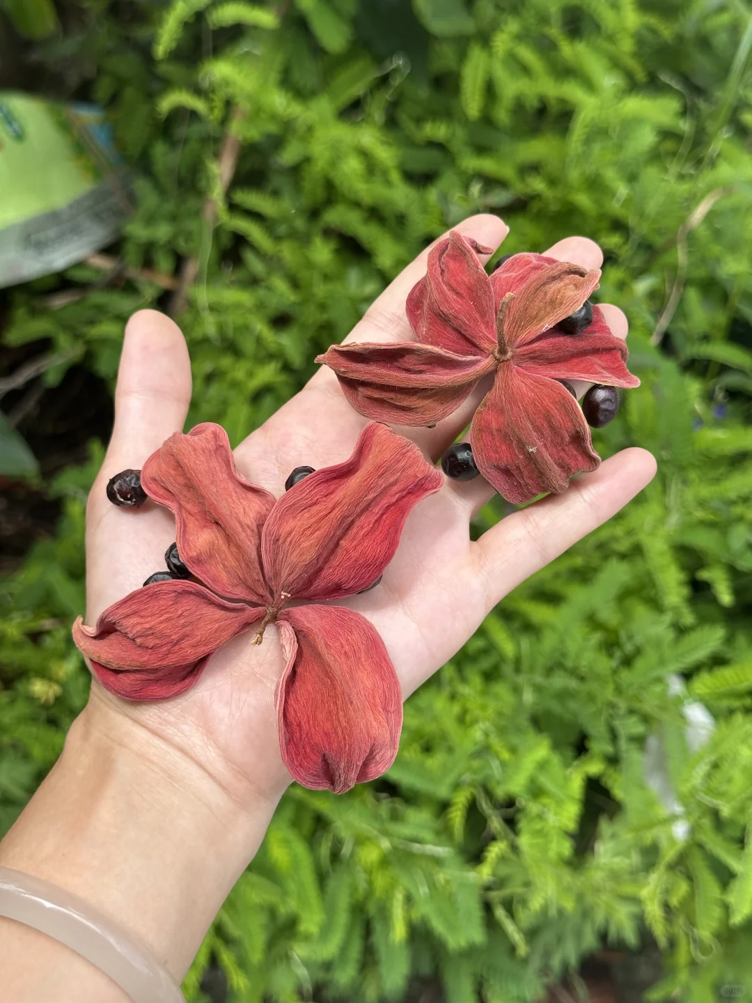 送走送走！！太好看啦🎈🎈