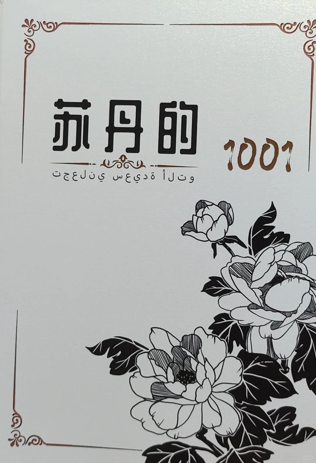 《苏丹的1001》repo