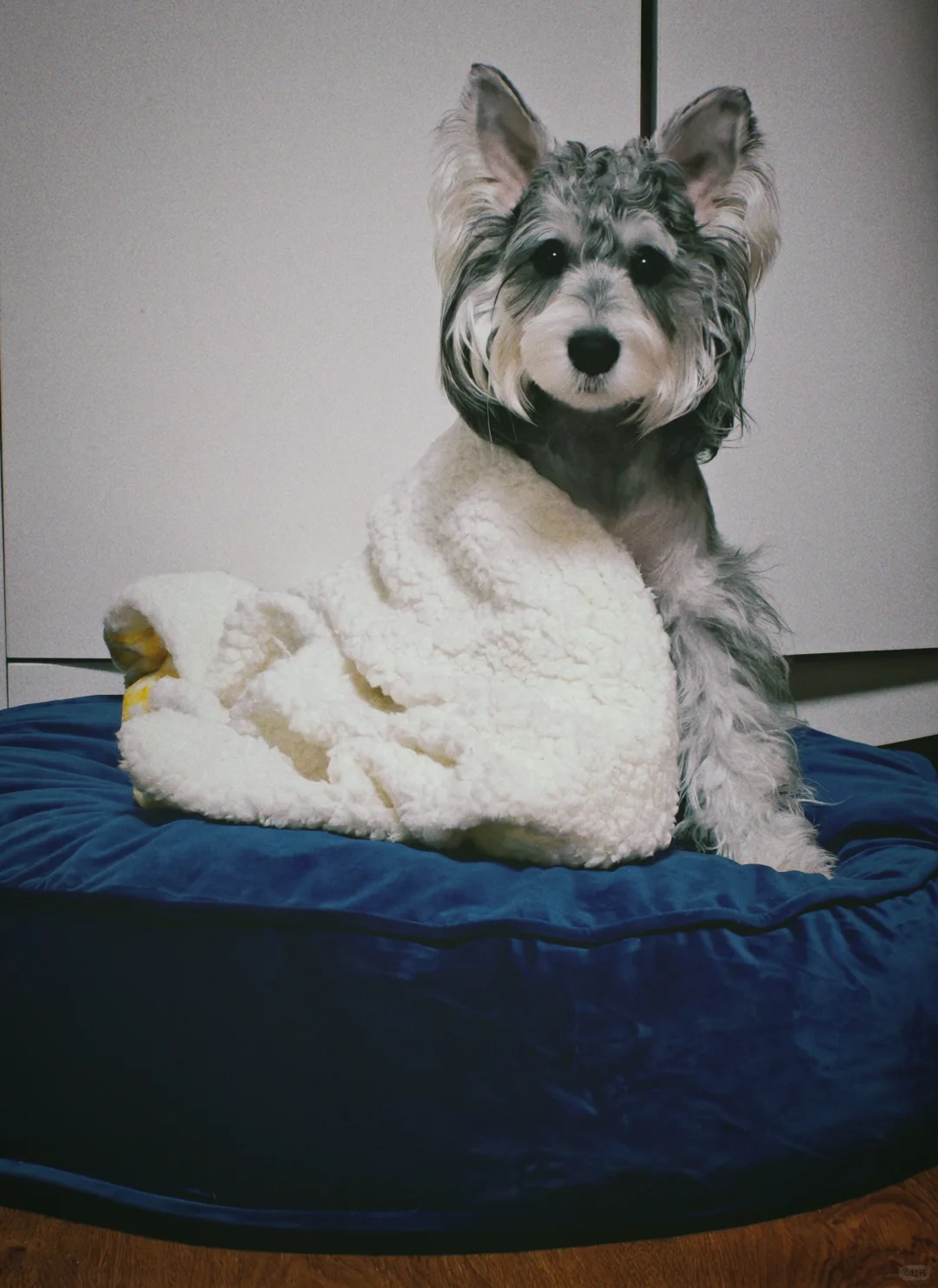 一个小男孩为什么会如此妖娆