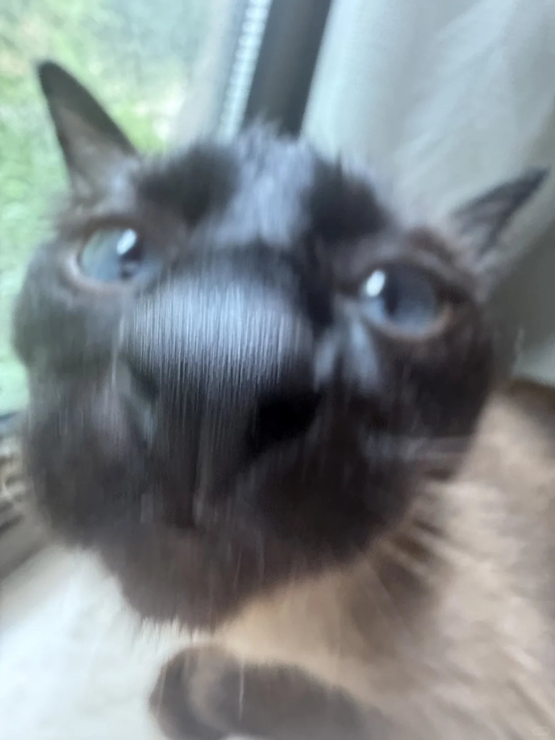 有个女的总想舔我手机怎么办🫣