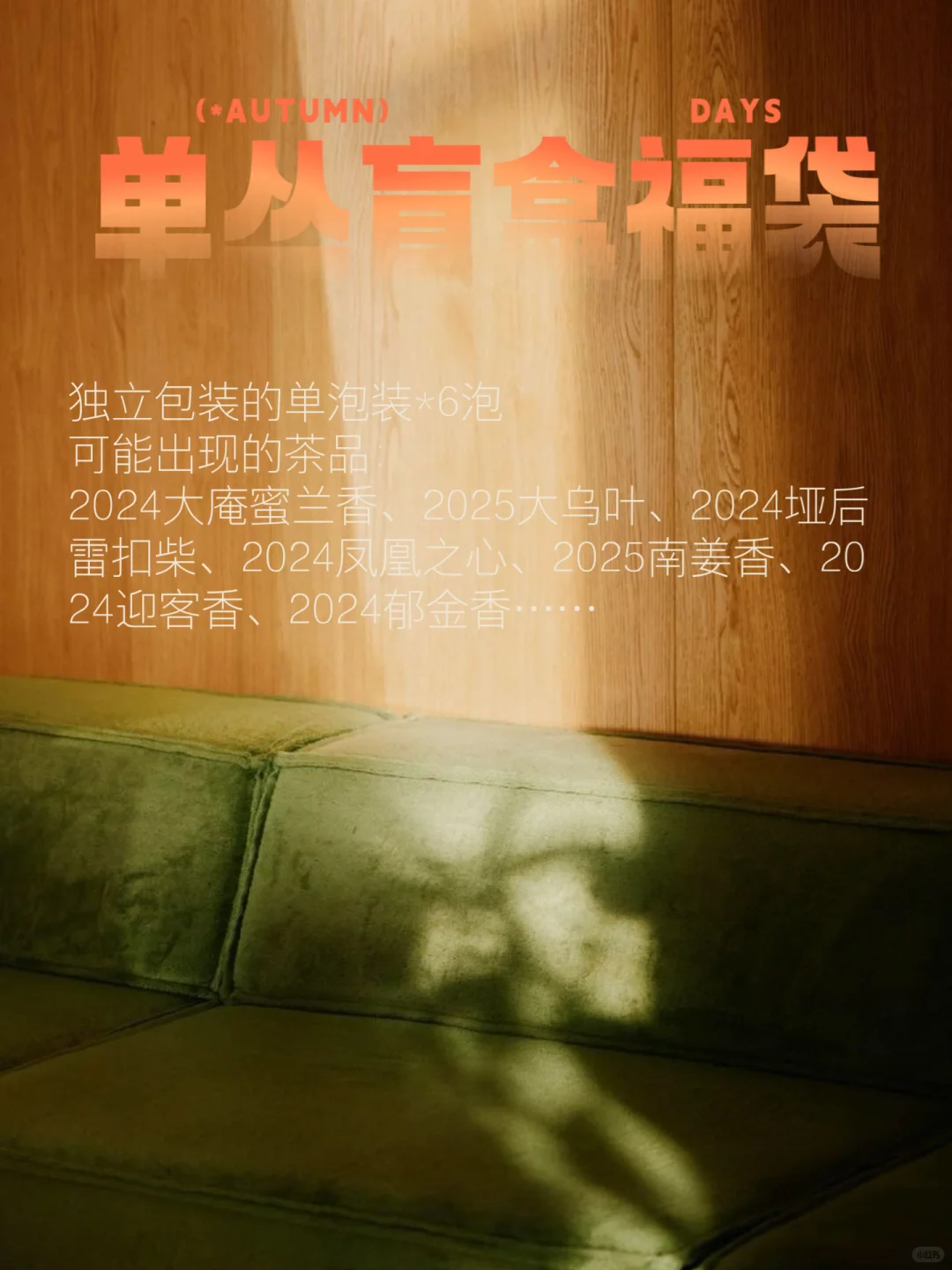 月度场｜九月喫茶派对🎉含普洱量很高的一期