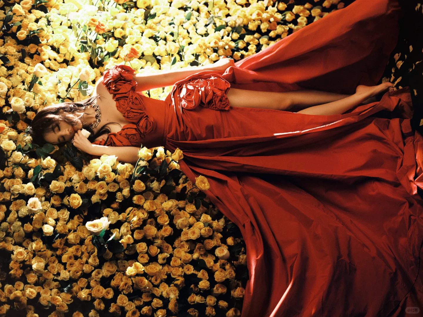 刘亦菲黄玫瑰主题生日写真