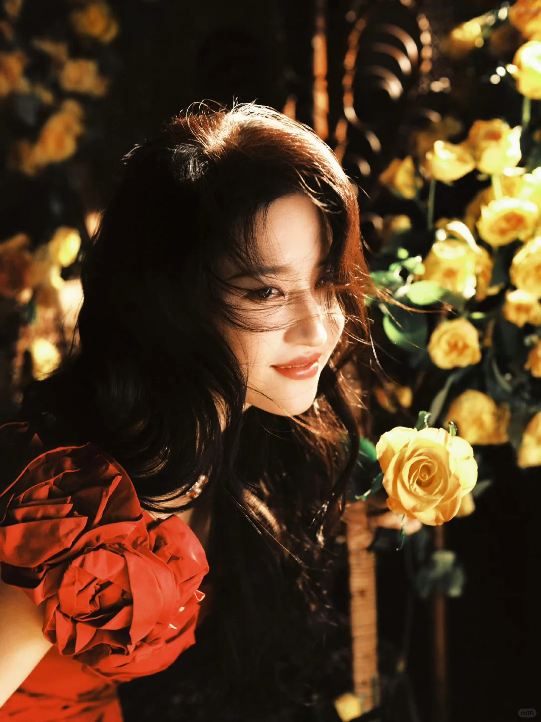 刘亦菲黄玫瑰主题生日写真