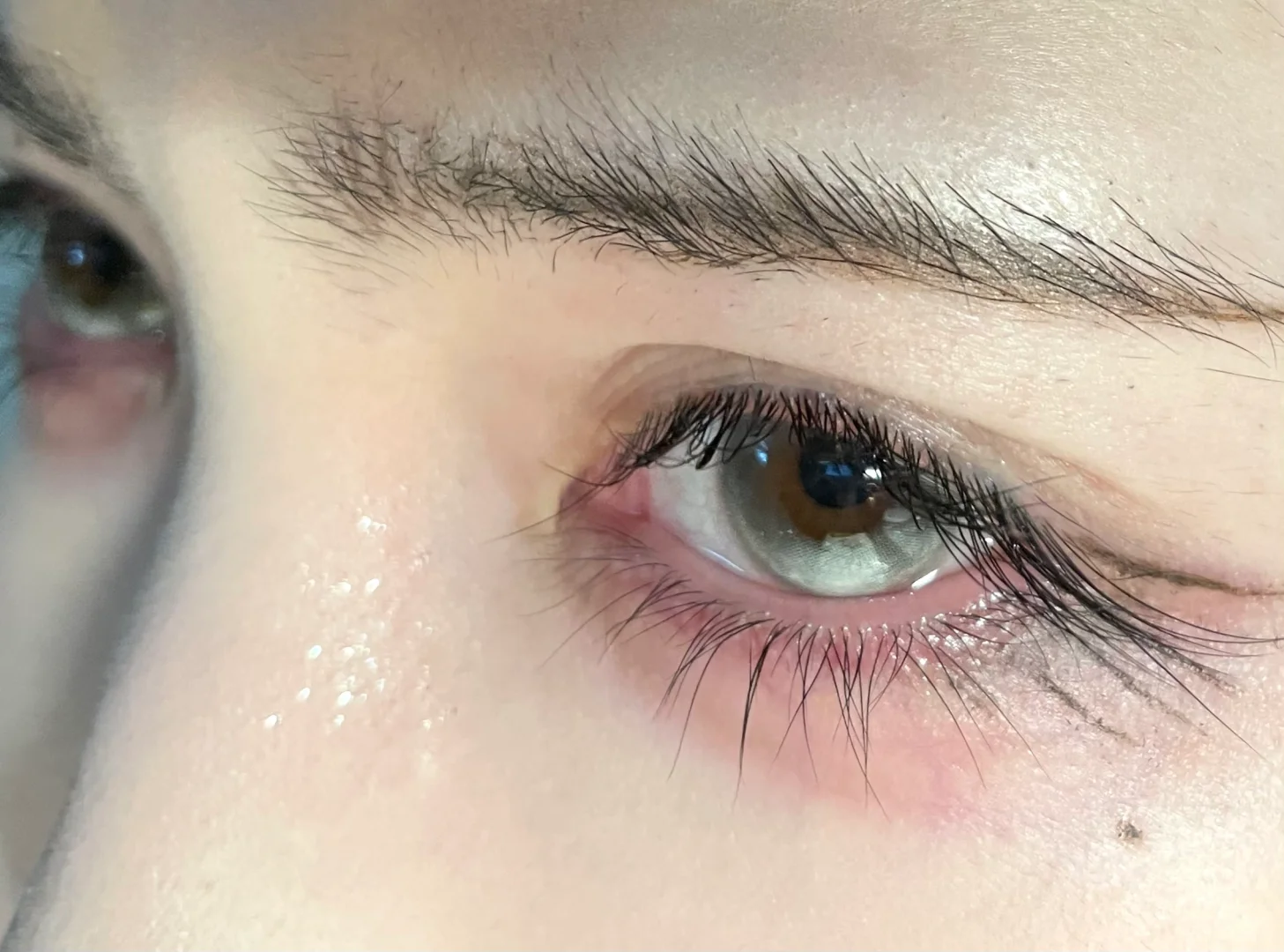 美哭了 像画出来的一样