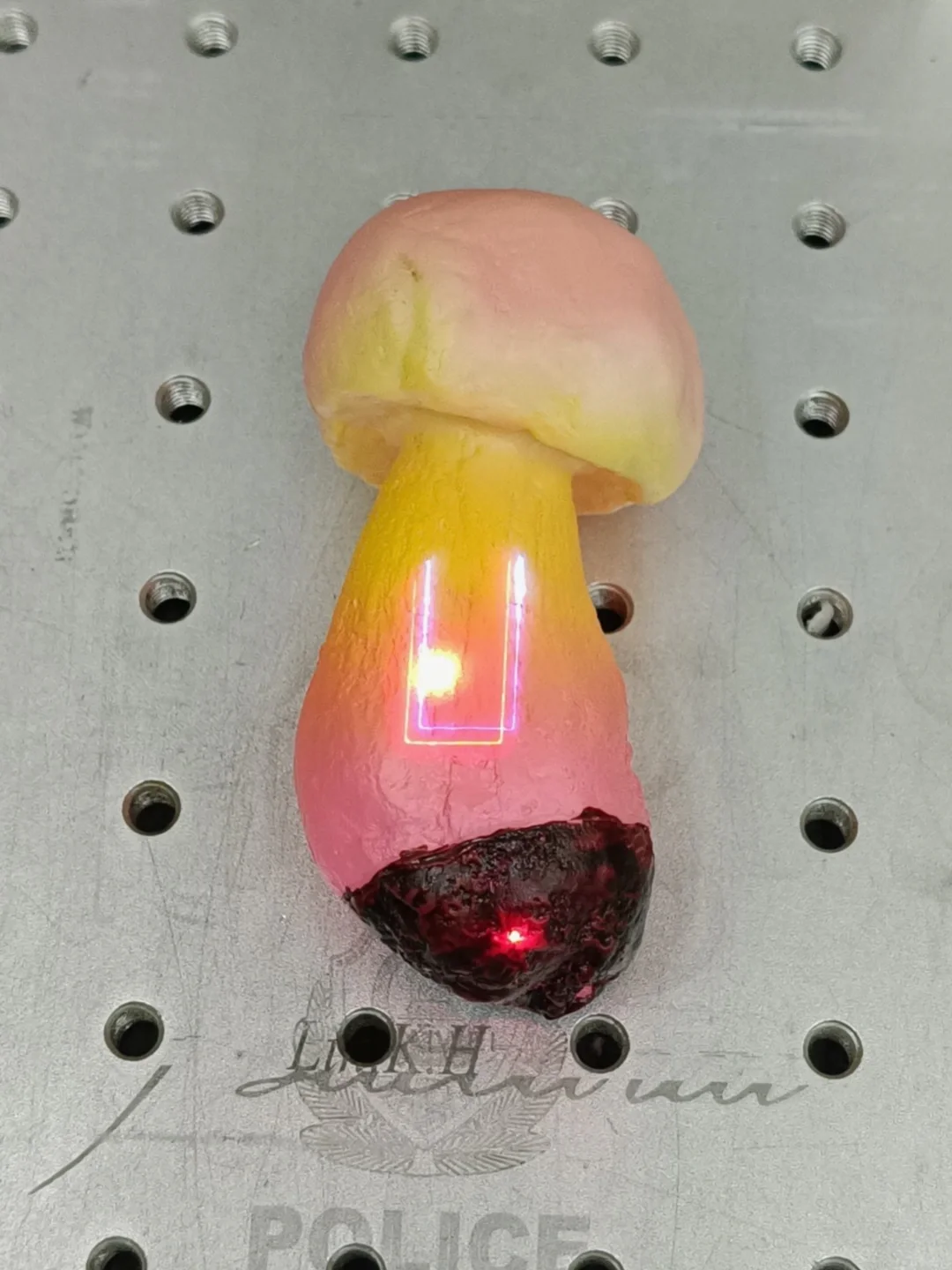 春日采摘倒计时🌿