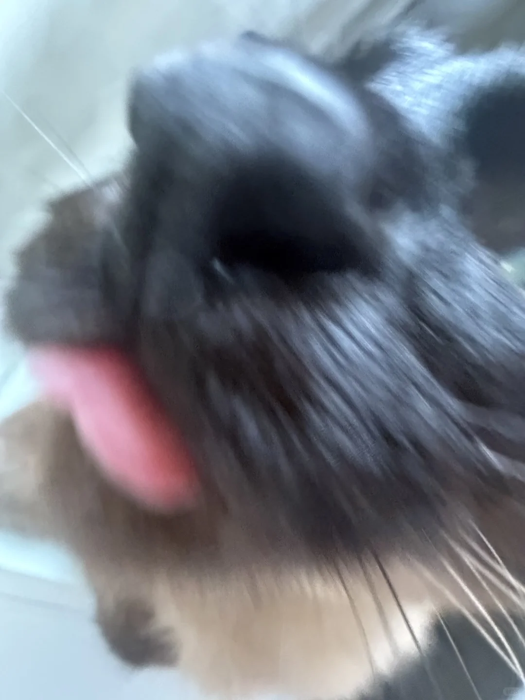 有个女的总想舔我手机怎么办🫣