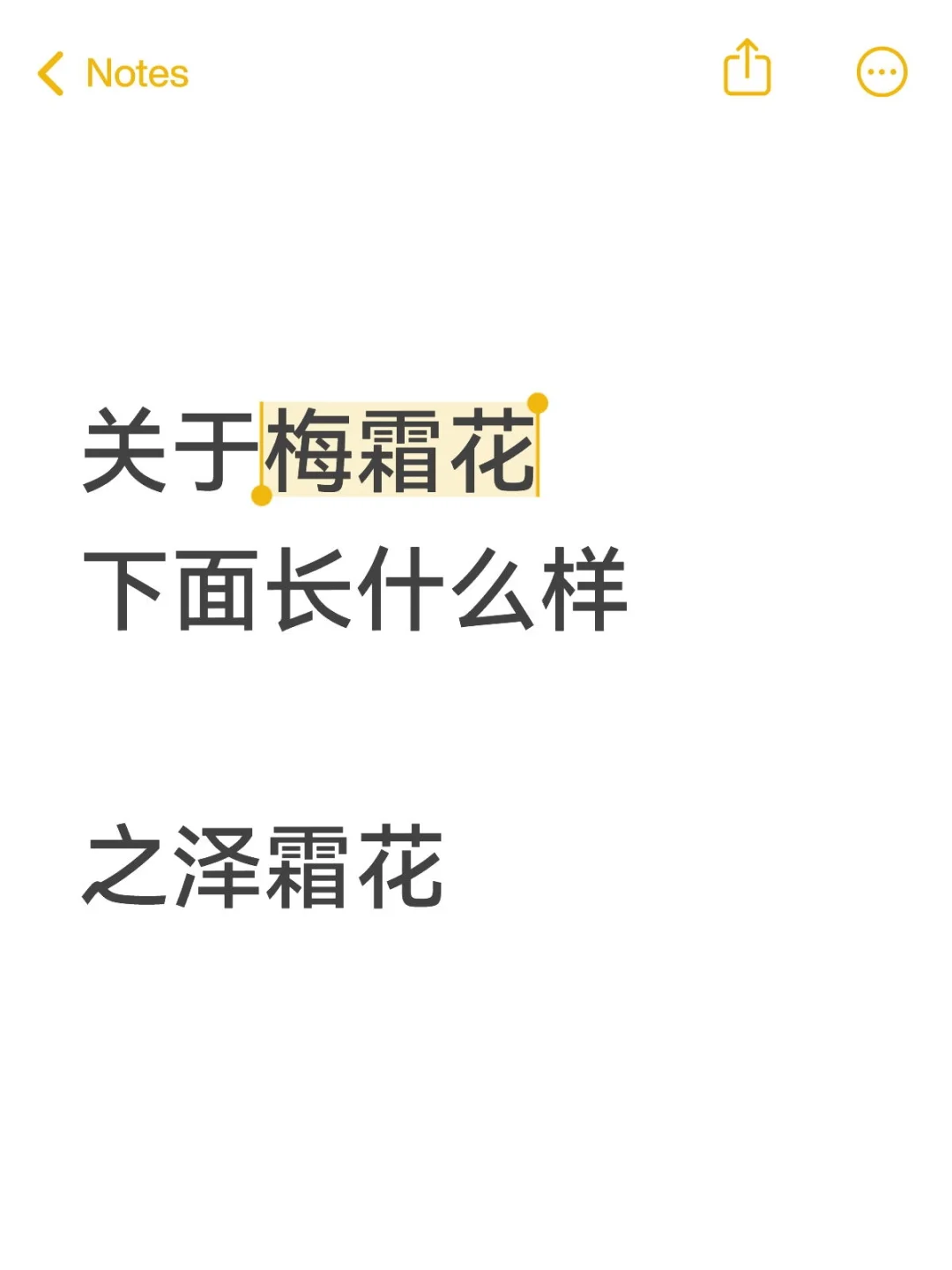 泽梅是爱留疤的