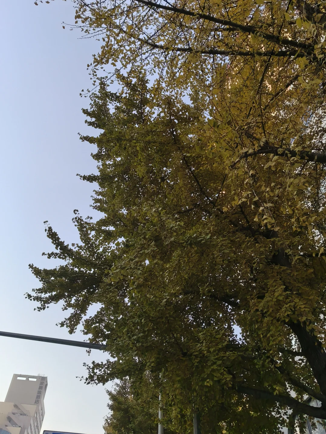 沈阳浑南短期补位兼职