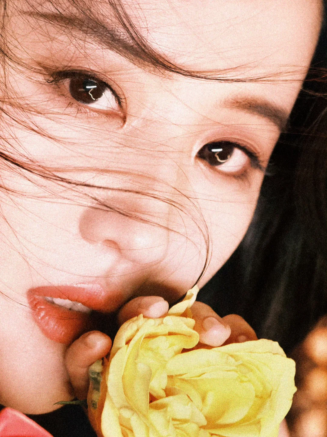 刘亦菲黄玫瑰主题生日写真