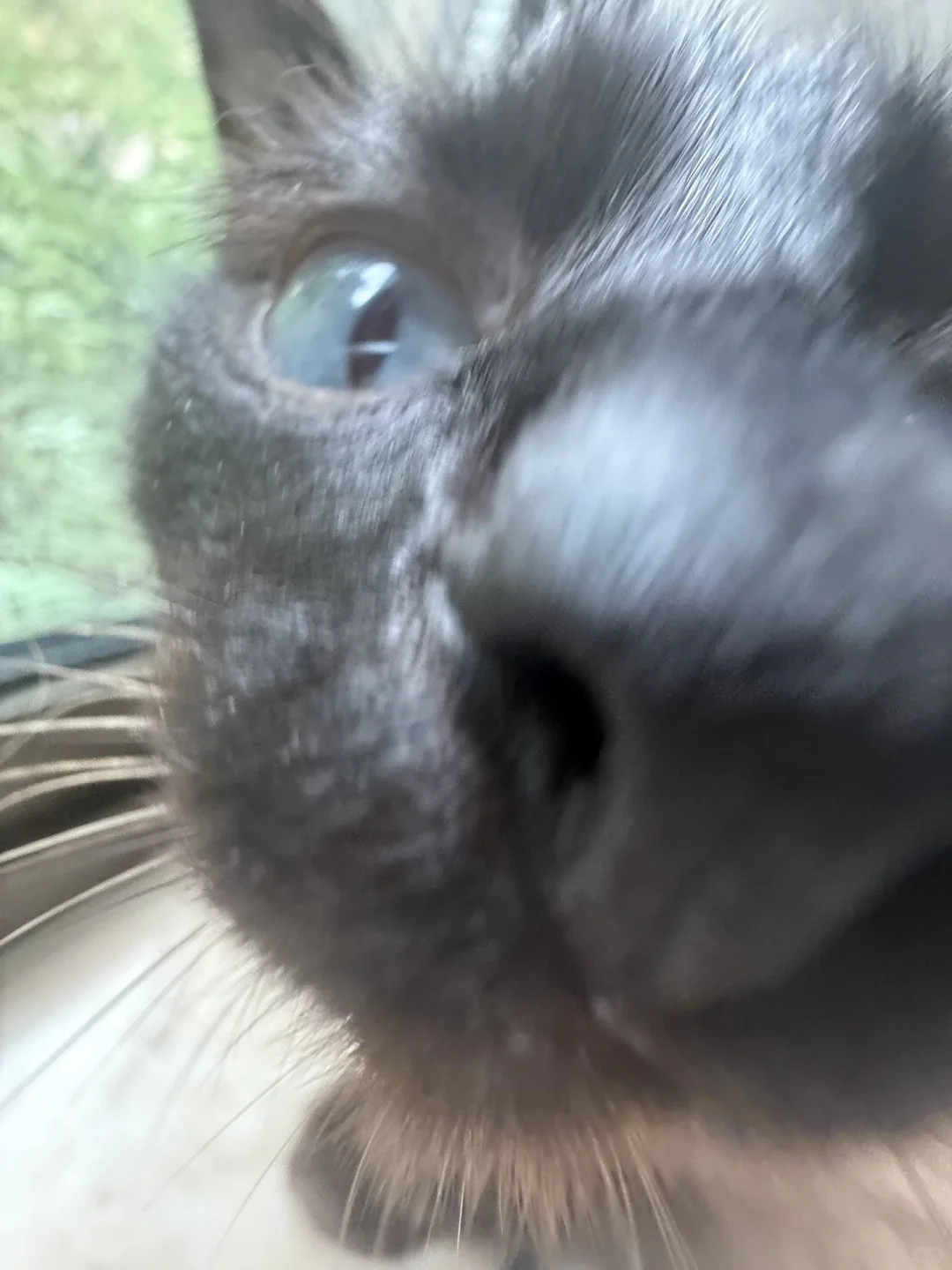 有个女的总想舔我手机怎么办🫣