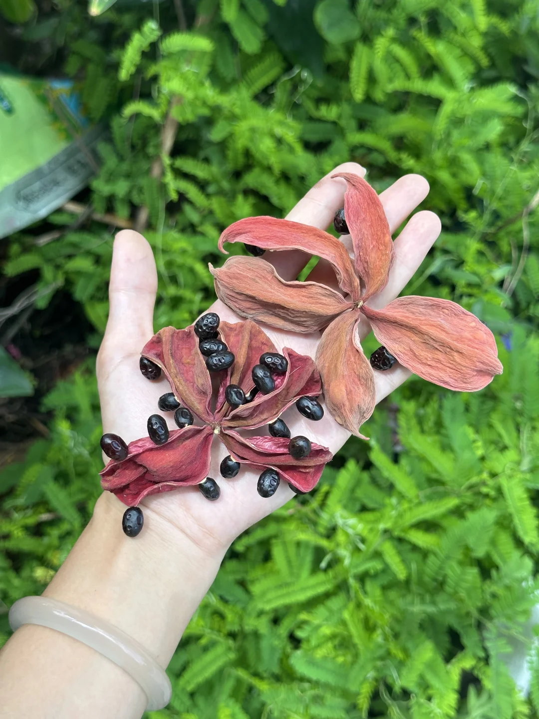 送走送走！！太好看啦🎈🎈