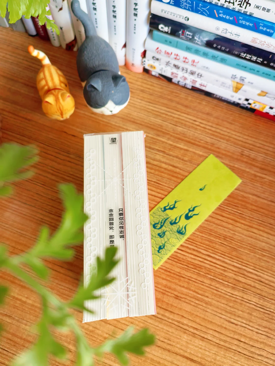 小巧可爱的口袋书｜30堂蕞好读的西游课❗️