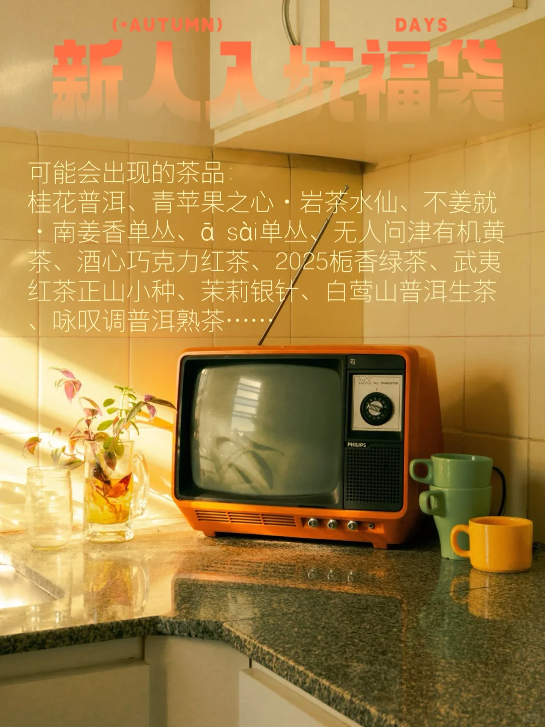 月度场｜九月喫茶派对🎉含普洱量很高的一期