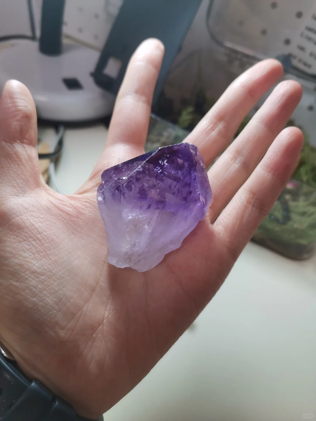 待结缘|幽夜紫|此崽挑人