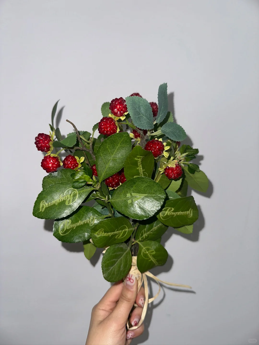 春日采摘倒计时🌿