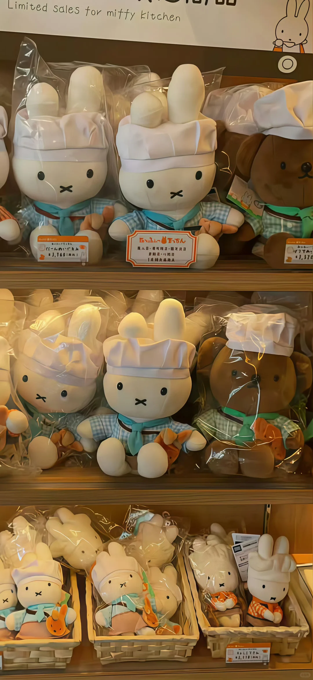 你肯定缺韩系萌萌ins风壁纸