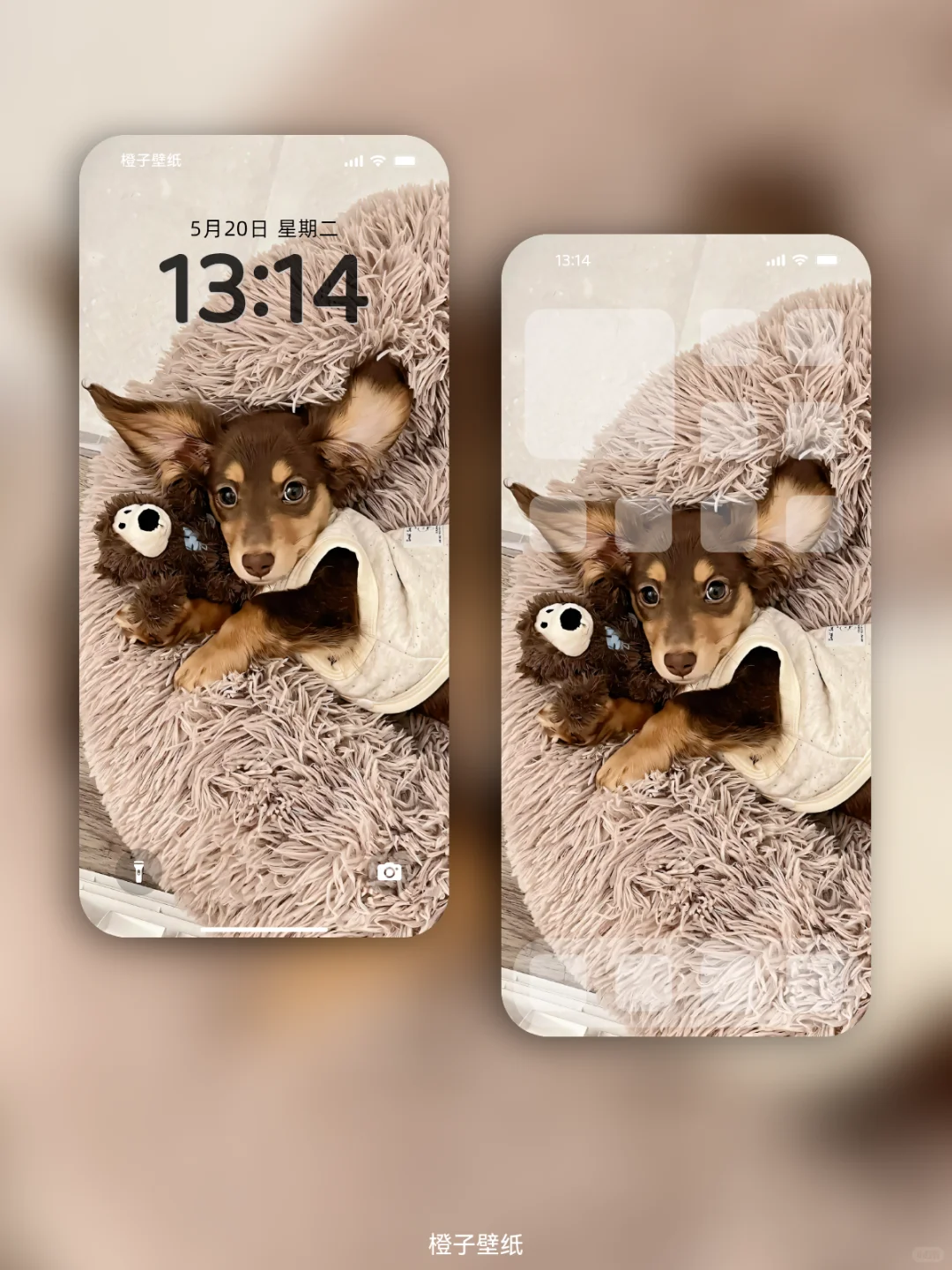 手机壁纸 | 我超喜欢我的手机壁纸