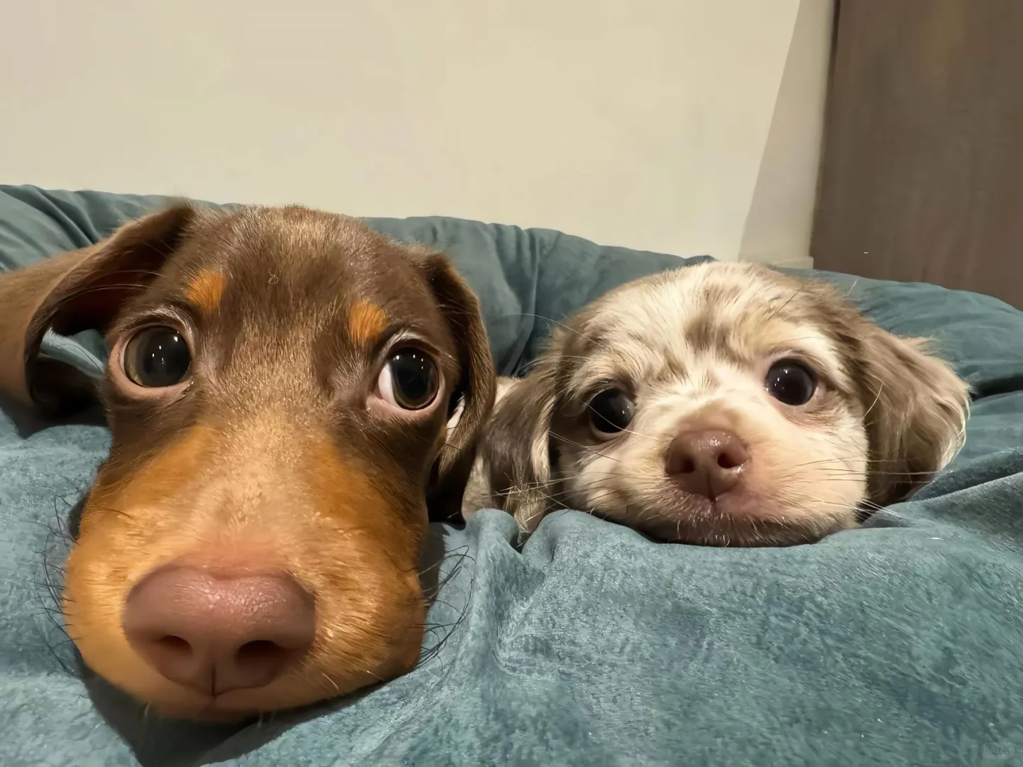 高清4K电脑壁纸