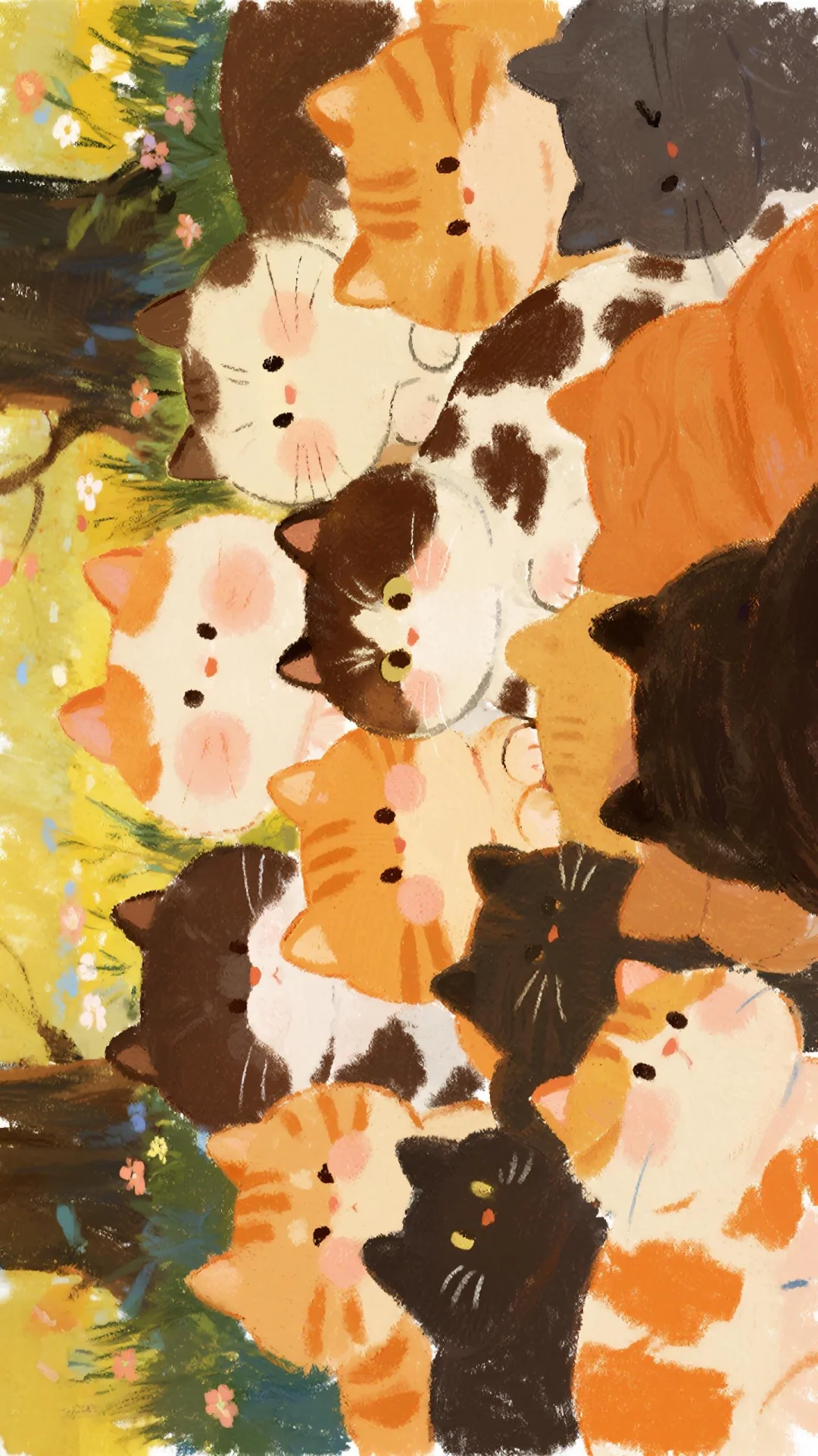 ✨壁纸|秋天🍂 猫猫全屏墙纸！喵喵~🐱