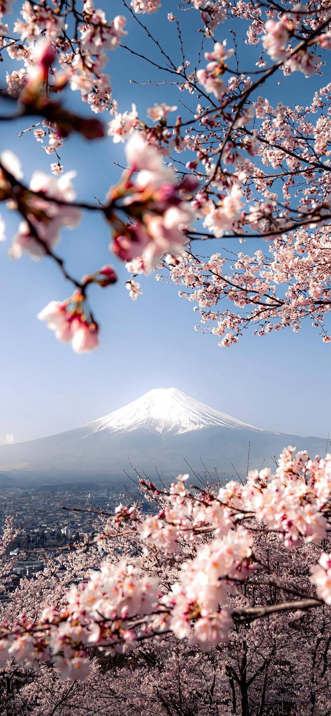 分享壁纸｜iOS26 3D 空间壁纸