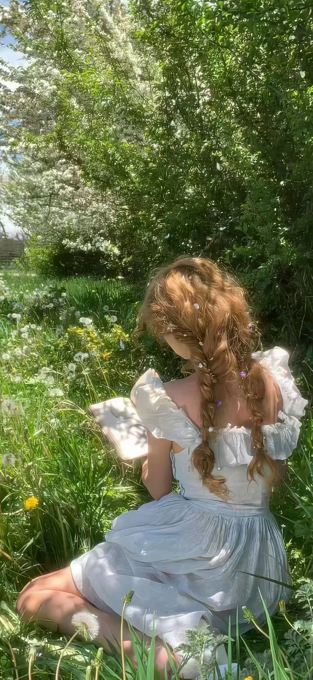 ☘️治愈系壁纸