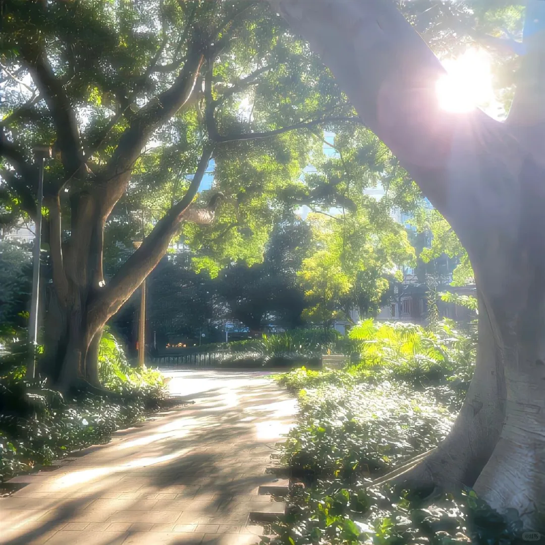 𝙒𝙚𝘾𝙝𝙖𝙩背景图