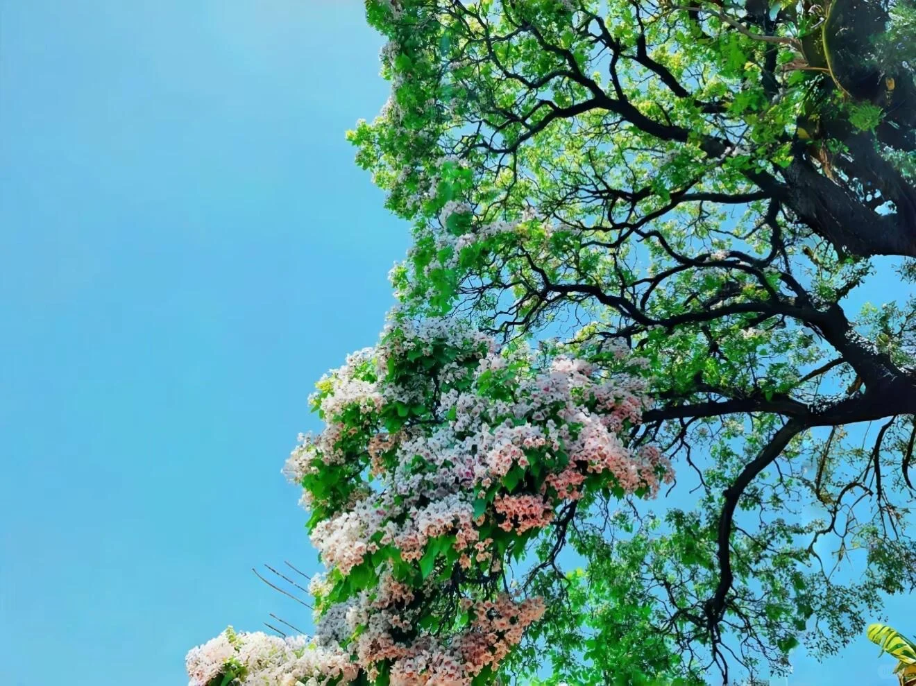 iOS26平板党狂喜！3D景深裸眼壁纸太绝了✨